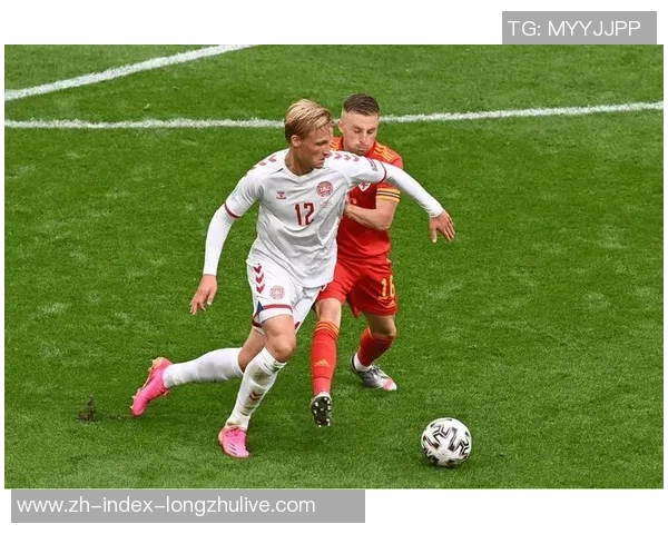 丹麦与芬兰足球对决分析：战术布局与球员表现全解析